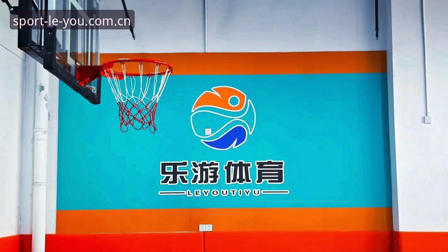 乐游体育专业资讯 乐游体育平台专业资讯深度解析:一个老用户的全方位体验分享